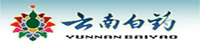 云南白药集团部署合力天下内网安全监管平台